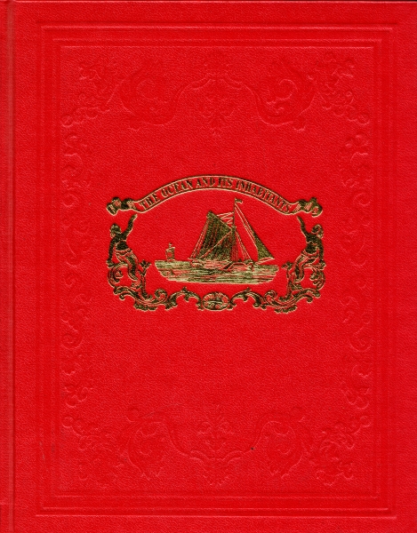 大洋に棲む動物たち