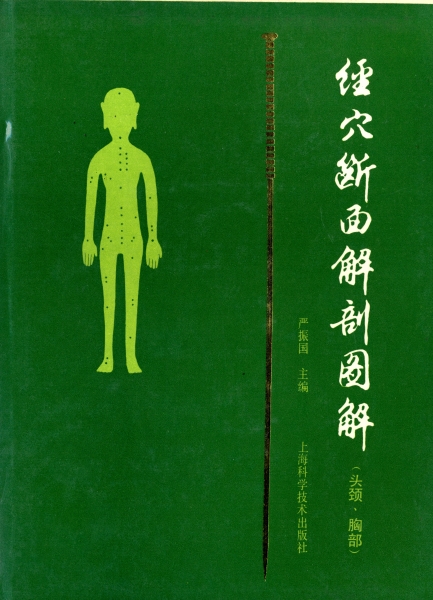 経穴断面解剖図解 (頭頸・胸部)