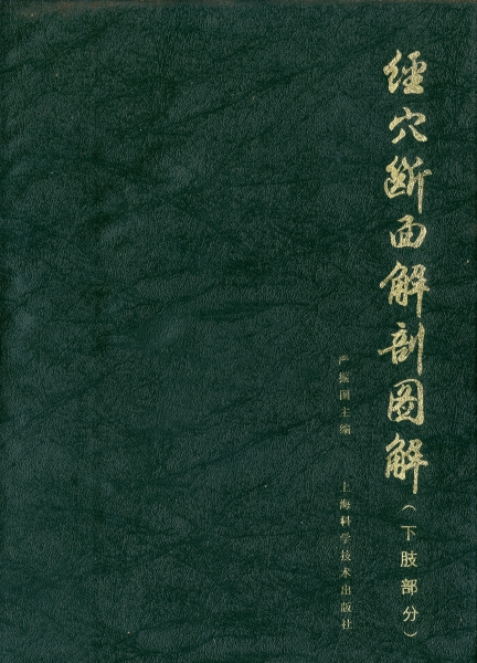 経穴断面解剖図解 (下肢部分)