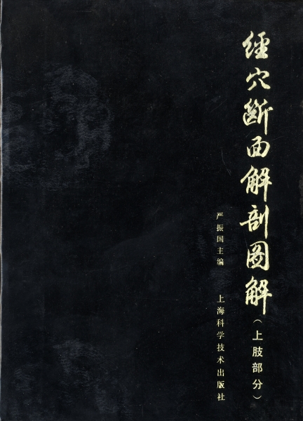 経穴断面解剖図解 (上肢部分)