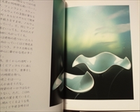 オーロラ Northern Lights_写真1