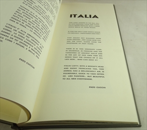 Enzo Cucchi: Italia_写真3