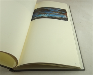 Enzo Cucchi: Italia_写真4