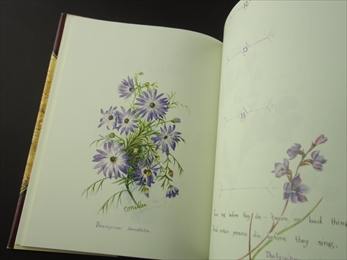 Constance Miller's Book of Flowers_写真3