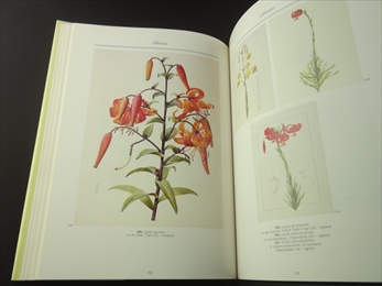 A Redouté Treasury: 468 Watercolours from Les Liliacées of Pierre-Joseph Redouté_写真4