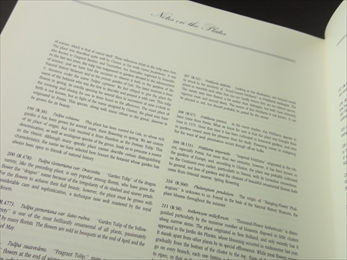 A Redouté Treasury: 468 Watercolours from Les Liliacées of Pierre-Joseph Redouté_写真6