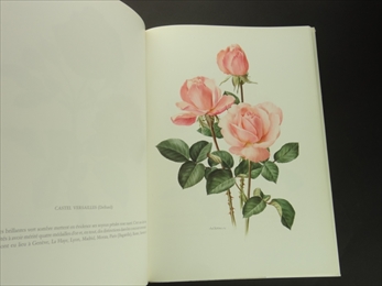 Roses anciennes - roses modernes_写真2