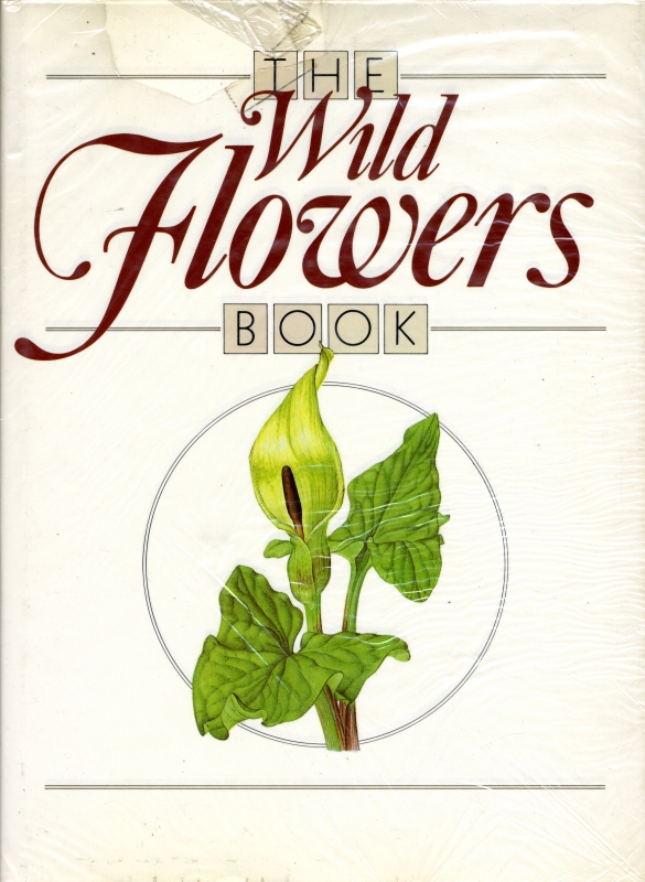 The Wild Flowers Book_写真