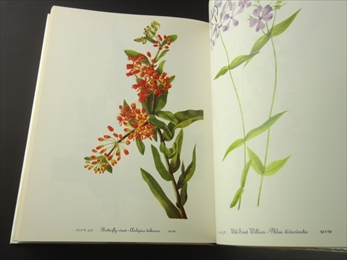 Wild Flowers of America_写真4