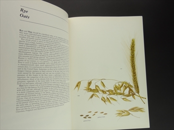 The Complete Book of Fruits & Vegetables_写真1