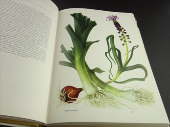 The Complete Book of Fruits & Vegetables_写真2