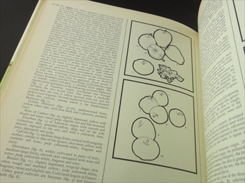 The Complete Book of Fruits & Vegetables_写真3