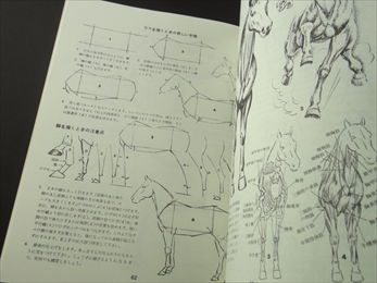 動物の描き方_写真2