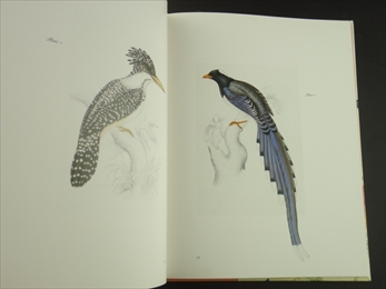 Gould's Exotic Birds_写真1