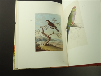 Gould's Exotic Birds_写真2