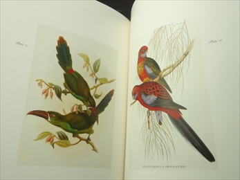Gould's Exotic Birds_写真3