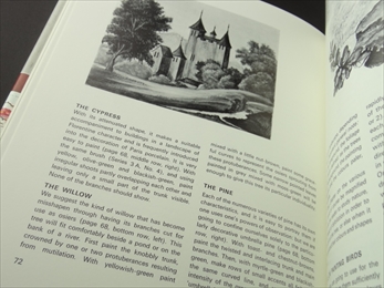 The Art and Technique of Painting on Porcelain_写真3