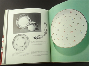 The Art and Technique of Painting on Porcelain_写真5