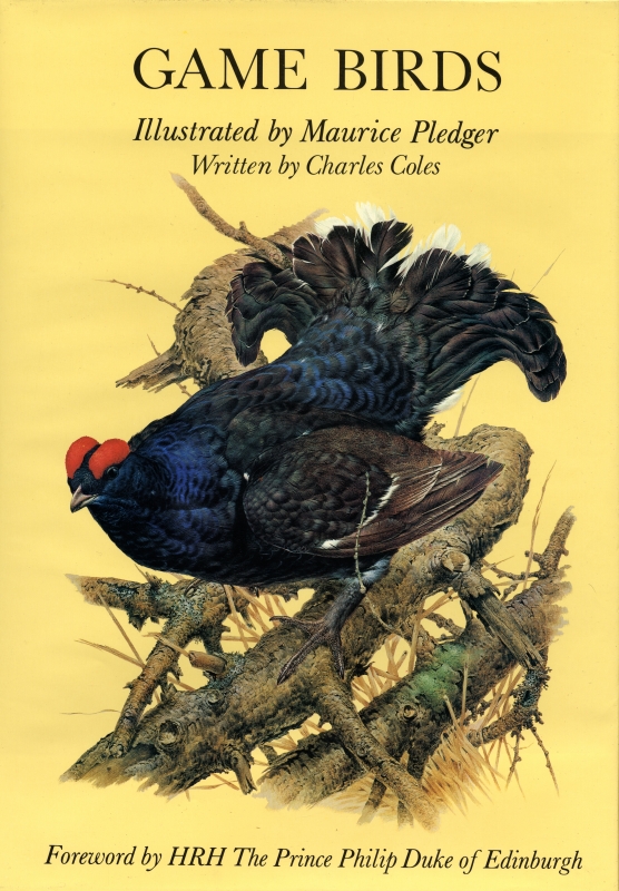 Game Birds_写真