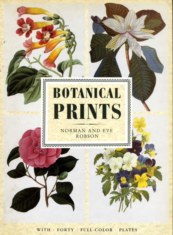 Botanical Prints_写真