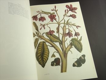 Botanical Prints_写真1