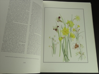 An English Florilegium: Flowers,Trees,Fruits,Herbs - The Tradescant Legacy_写真1