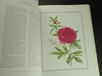 An English Florilegium: Flowers,Trees,Fruits,Herbs - The Tradescant Legacy_写真3