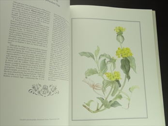An English Florilegium: Flowers,Trees,Fruits,Herbs - The Tradescant Legacy_写真4