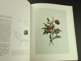 The Art and Technique of Painting on Porcelain Volume 2, for advanced amatures_写真2