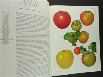 Fruit: A Connoisseur's Guide and Cookbook_写真1