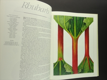 Fruit: A Connoisseur's Guide and Cookbook_写真2