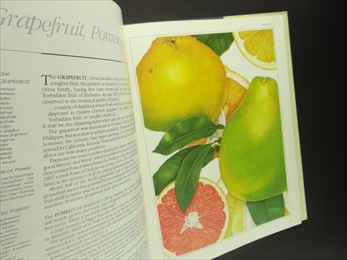 Fruit: A Connoisseur's Guide and Cookbook_写真3
