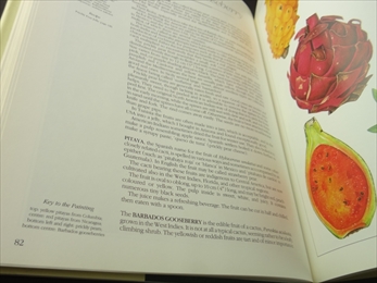 Fruit: A Connoisseur's Guide and Cookbook_写真5