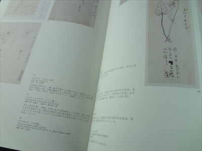 ボタニカルワールドへのいざない 「牧野富太郎と植物画展」図録_写真2