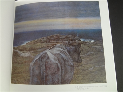 ISLAND UNIVERSE/SAOGHAL NAN EILEAN_写真3