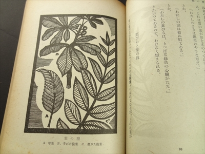 緑の魔術_写真2