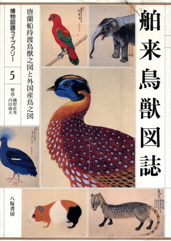 舶来鳥獣図誌 - 唐蘭船持渡鳥獣之図と外国産鳥之図_写真