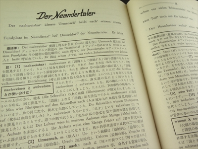 中級講話 趣味のドイツ語_写真3