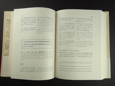 独作文教程_写真3