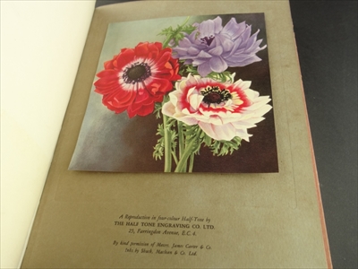 Penrose's Annual: The Process Year Book and Review of the Graphic Arts, vol. 29, 1927_写真5