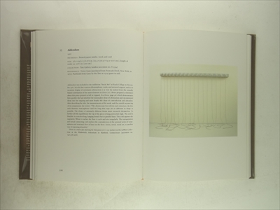 Eva Hesse Sculpture_写真1