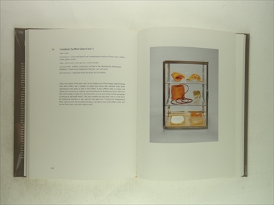 Eva Hesse Sculpture_写真2