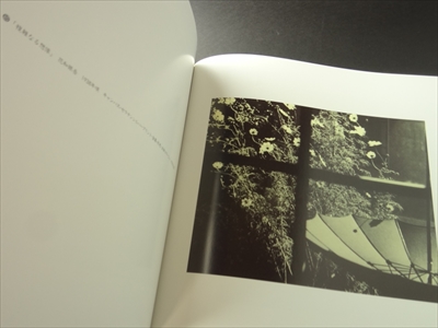 A Collection of Japanese Photographs 1912-1940_写真5