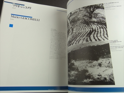 オマージュ ファン・ゴッホ展 ファン・ゴッホに捧げられた現代美術_写真6