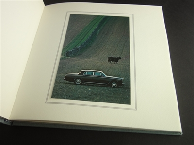 L'emozione del colore_写真1