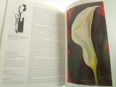 Georgia O'Keeffe 1887-1986: Flowers in the Desert_写真1
