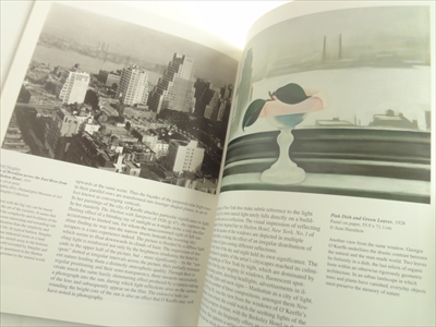 Georgia O'Keeffe 1887-1986: Flowers in the Desert_写真2