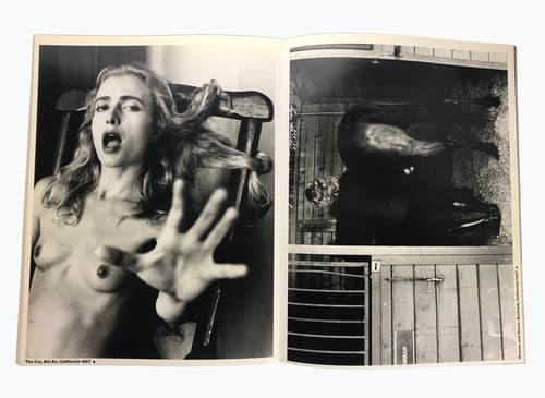 Helmut Newton's Illustrated Number 2_写真1