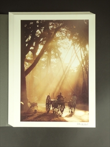 Rêve Indien_写真4