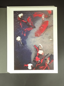 Rêve Indien_写真5